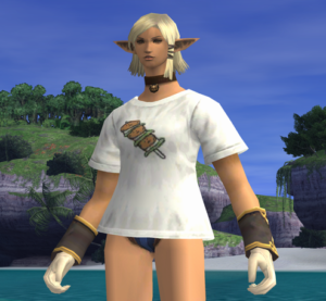 FFXI Let's go out with casual ware