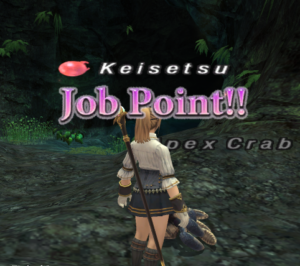 FFXI get Capacity Points