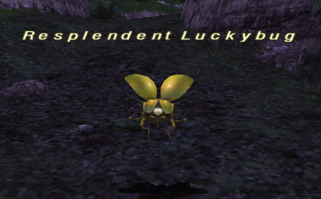 Luckybug