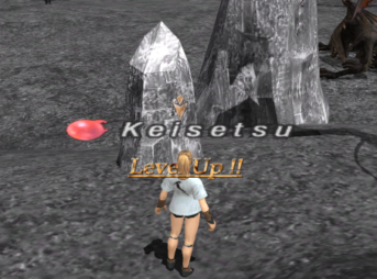 FFXI Reach to Lv99 in 1 hour