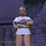 FFXI 17th Aniversary