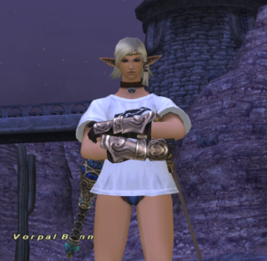 FFXI 17th Aniversary