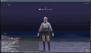 How to take screenshots for FFXI 017