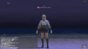 How to take screenshots for FFXI