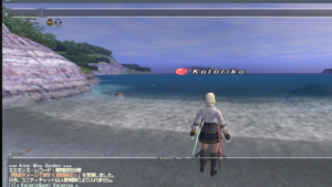 How to take screenshots for FFXI 020