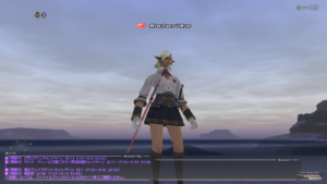 How to take screenshots for FFXI 024