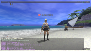 How to take screenshots for FFXI 028