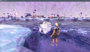 Take ScreenShots by SnapCrab for FFXI