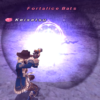 FFXI Grow up Combat Skills for GUN