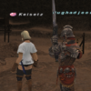 FFXI my blog migration almost finished