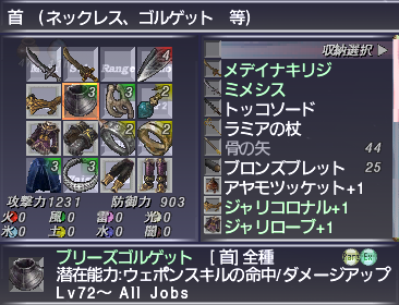 Rookie Bluemage Equipment WS